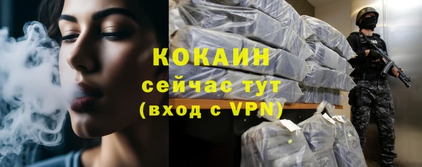 бошки Новодвинск
