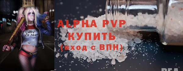 стафф Новокубанск