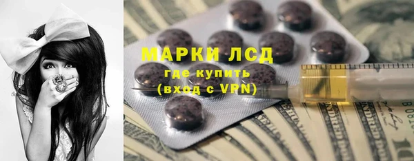 стафф Новокубанск