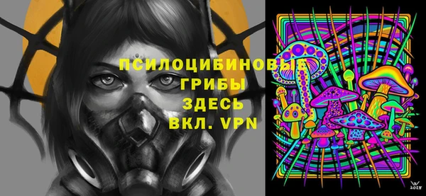 стафф Новокубанск