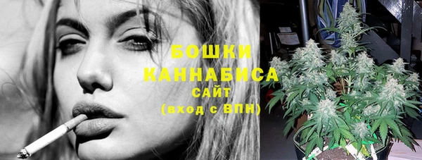 стафф Новокубанск