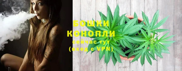 стафф Новокубанск